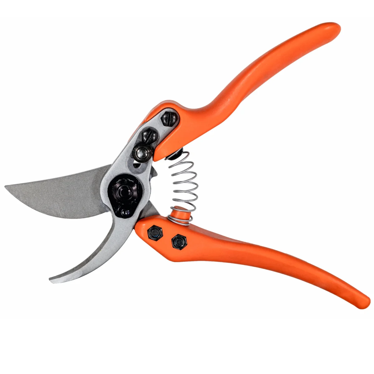 Löwe 11 Precision Clean Cut til kvinder
